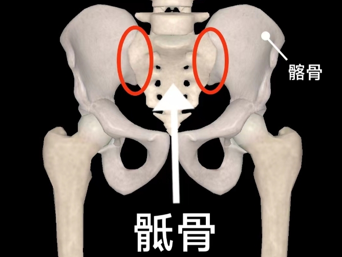 霍姆格伦太惨了吧